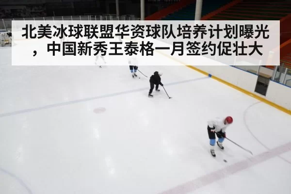 北美冰球联盟华资球队培养计划曝光,中国新秀王泰格一月签约促壮大